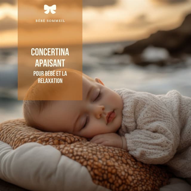 Concertina apaisant pour bébé et la relaxation - Bébé Sommeil