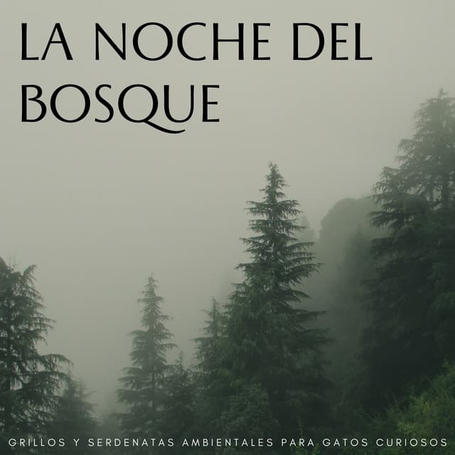 La Noche Del Bosque: Grillos Y Serdenatas Ambientales Para Gatos Curiosos - Sonidos Del Bosques