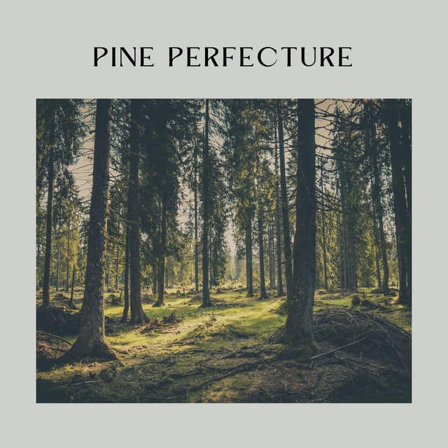 Pine Perfecture - Sounds of Nature Noise