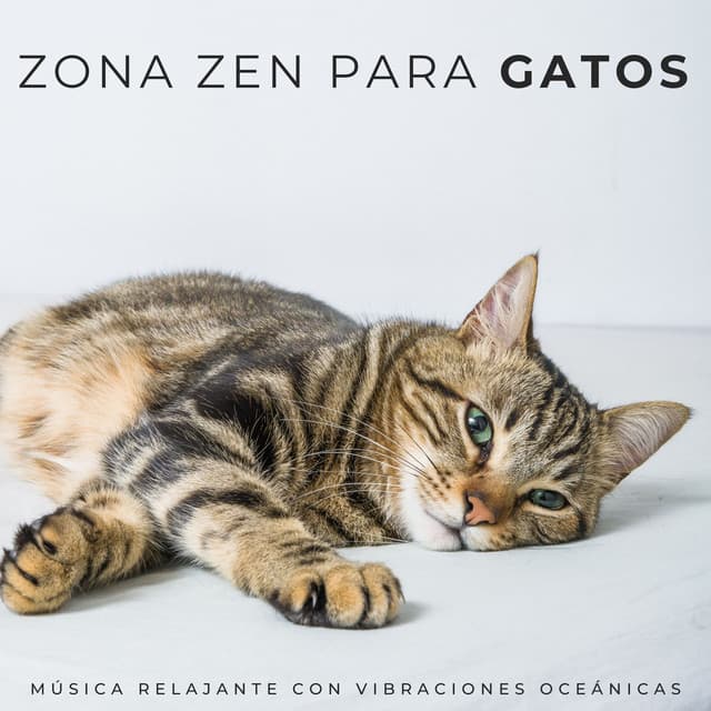 Zona Zen Para Gatos: Música Relajante Con Vibraciones Oceánicas - Hacedores de océanos