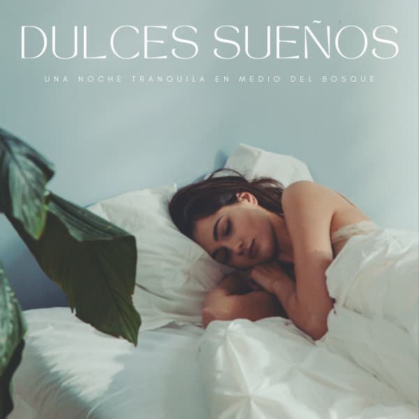Dulces Sueños: Una Noche Tranquila En Medio Del Bosque - Lluvia Para Dormir Mejor
