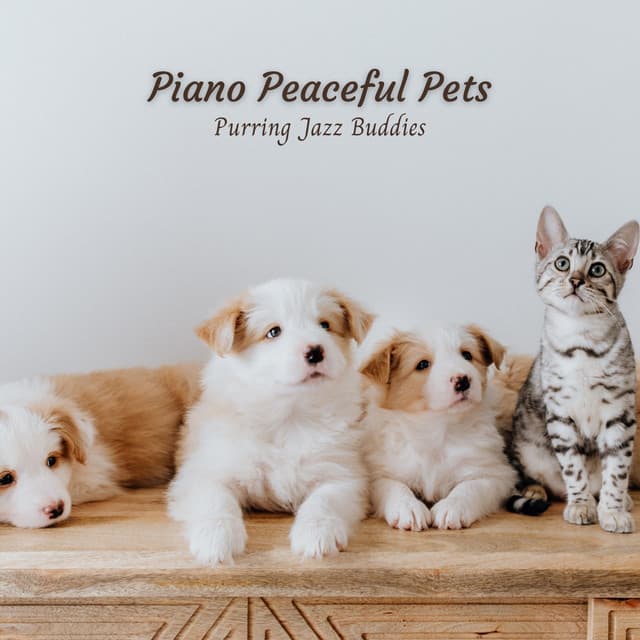 Piano Peaceful Pets: Purring Jazz Buddies - Piano dust Covers