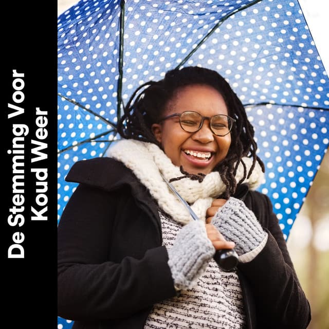 De Stemming Voor Koud Weer - Geluiden van de Regen