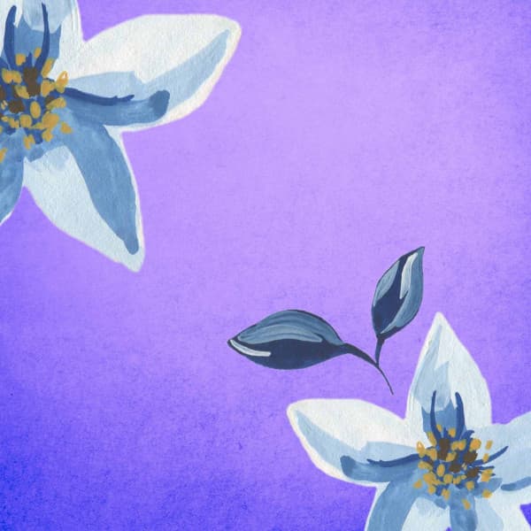 Ambiance for Liked Thoughts - Simple Lo-Fi