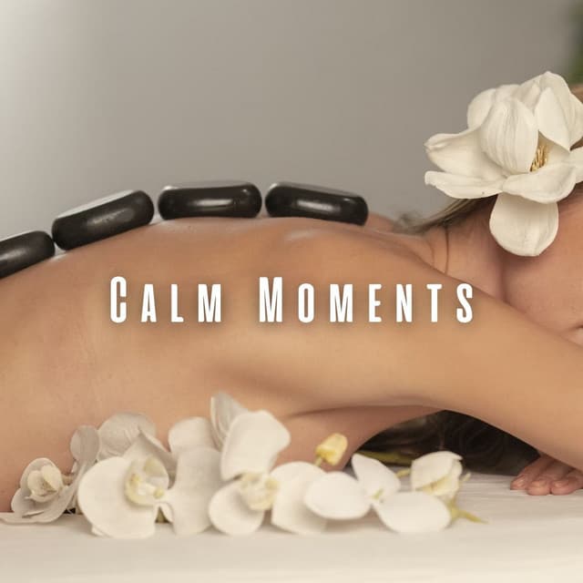 Calm Moments: Music for Spa Serenity - Acupuncture Music