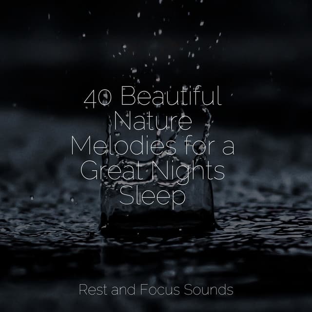 40 Beautiful Nature Melodies for a Great Nights Sleep - Relaxing Spa Music