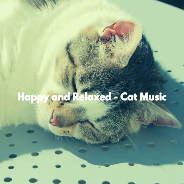 Happy and Relaxed - Cat Music - Downtempo Jazz Coffee House