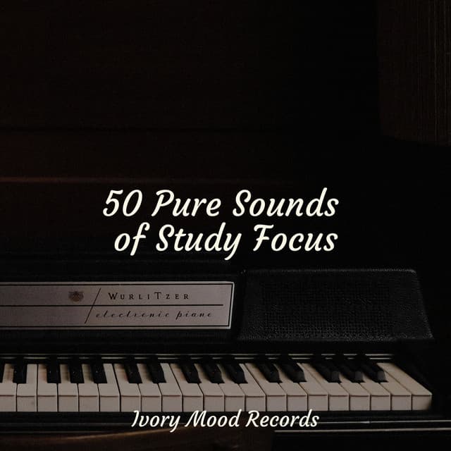 50 Pure Sounds of Study Focus - Ivory Mood