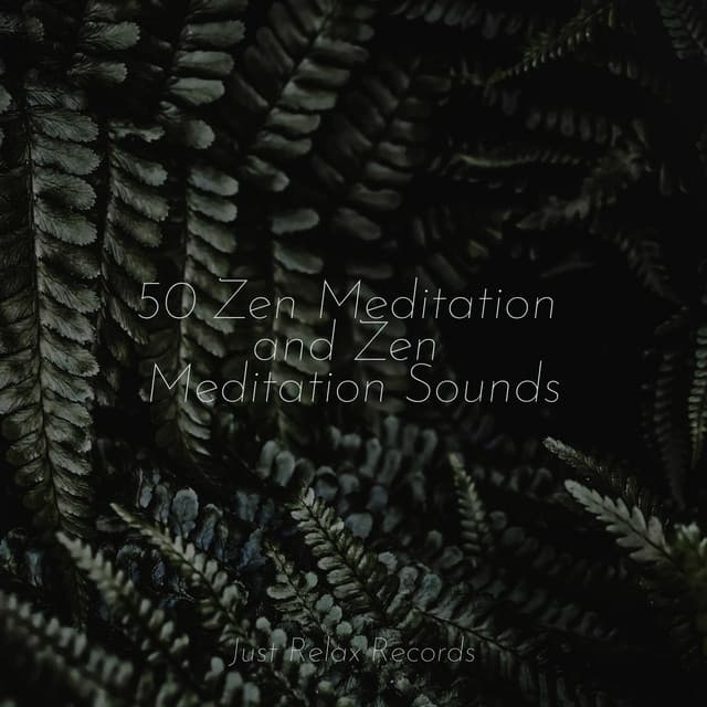 50 Zen Meditation and Zen Meditation Sounds - Meditación Guiada