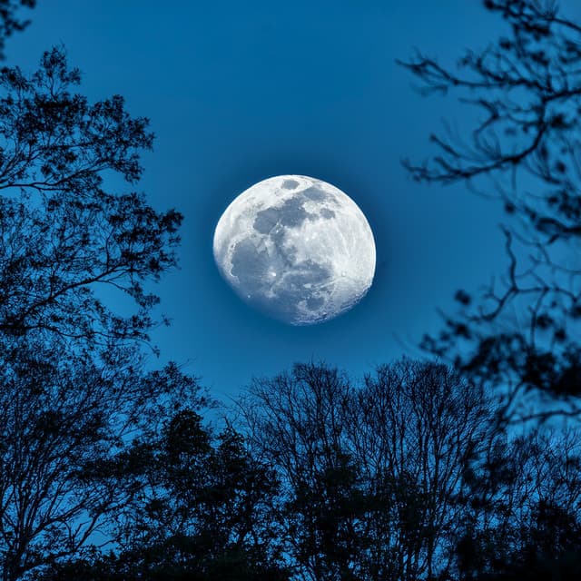 Music For Restful Slumber And Deep Sleep - Relaxing Sleep Meditation