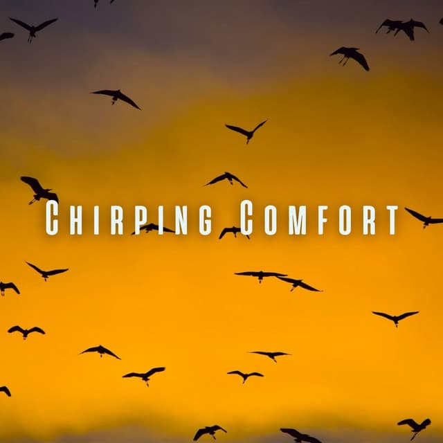 Chirping Comfort: Calming Birds and Chill Sounds for Soothing Cats - Noise Radio 1