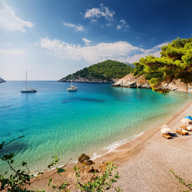 Relajación Serena Con Música Suave Y Tranquila - Música fácil de la mañana