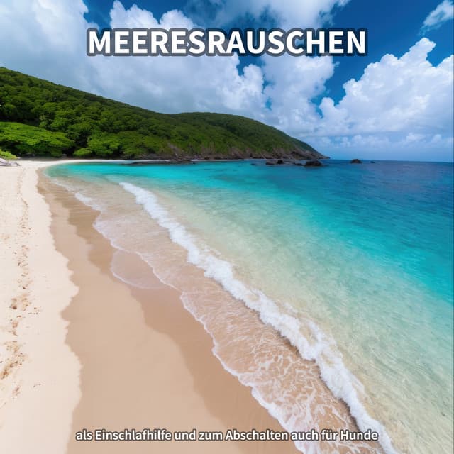 Meeresrauschen als Einschlafhilfe und zum Abschalten auch für Hunde - Meeresrauschen in bester Qualität