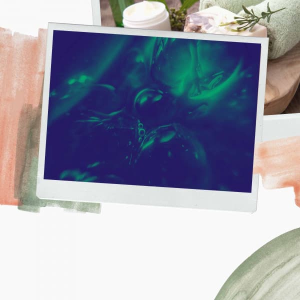 Echoes of Spring Days - The Cocktail Lounge Players