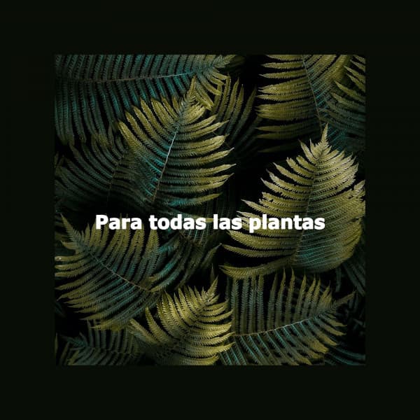 Para todas las plantas - Instrumental Chill Out Jazz