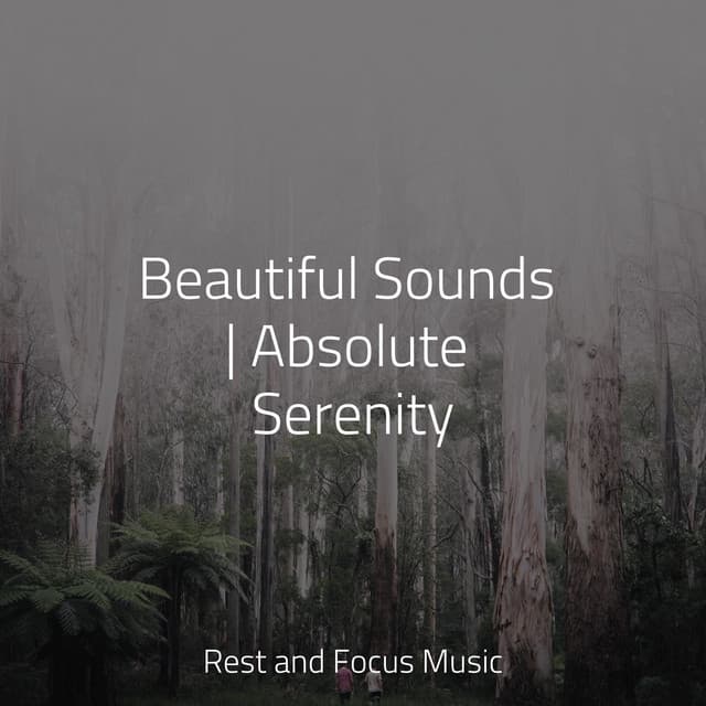 Beautiful Sounds | Absolute Serenity - Sleep Waves
