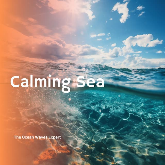 Calming Sea - The Ocean Waves Expert
