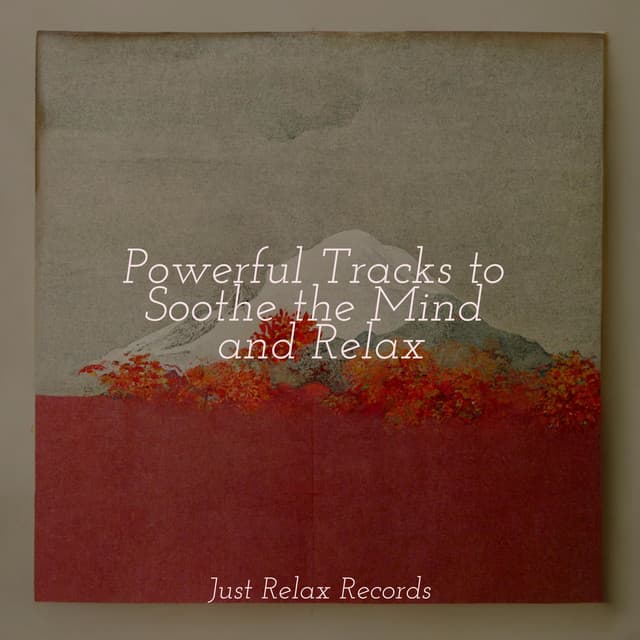 Powerful Tracks to Soothe the Mind and Relax - Musica para Meditar