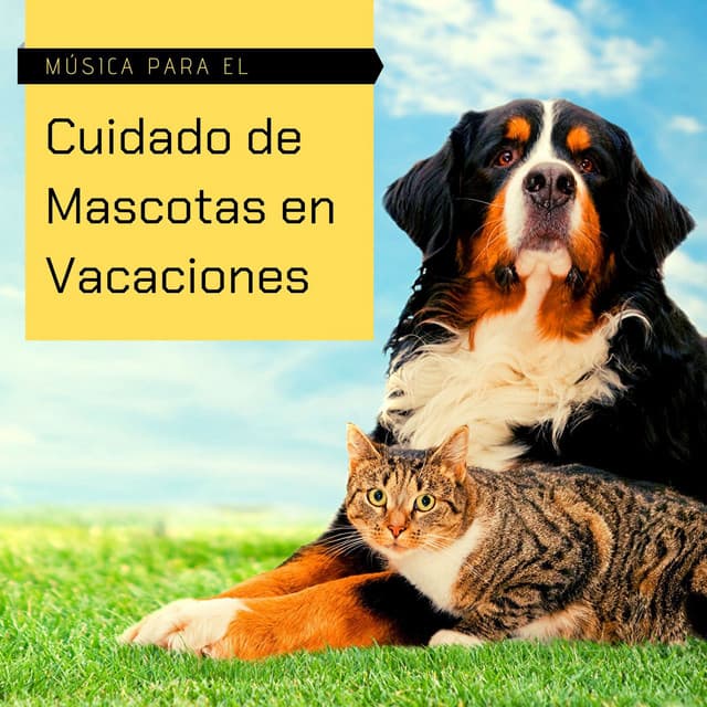 Música para el Cuidado de Mascotas en Vacaciones: Canciones para Dormir Perros y Gatos Inquietos - Especialistas de Musica para Dormir
