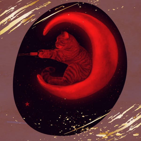 Ambiance for Calm and Relaxing Kittens - Cat Music Studio