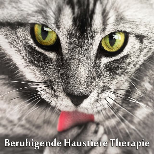 Beruhigende Haustiere Therapie - Entspannungsmusik Welt