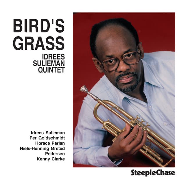 Bird's Grass - Idrees Sulieman