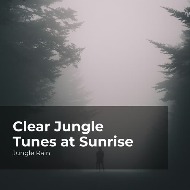 Jungle Rain