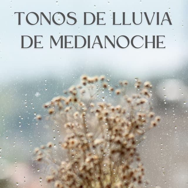 Tonos De Lluvia De Medianoche - Lluvia para un sueño profundo