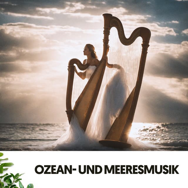 Ozean- und Meeresmusik: Melodien vom Himmel - Ruido Blanco Hart