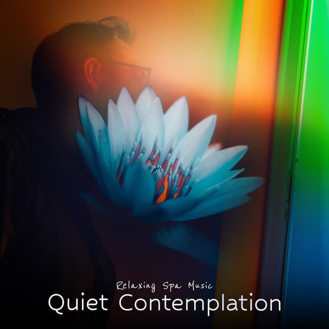 Quiet Contemplation - Relaxing Spa Music