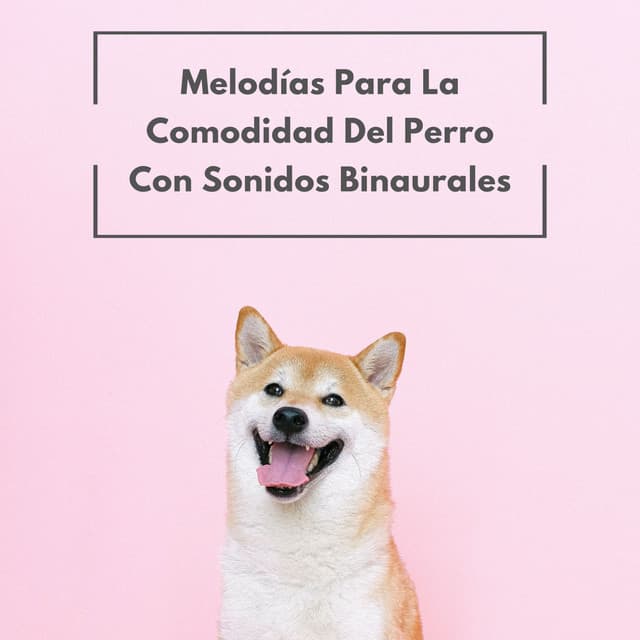Melodías Para La Comodidad Del Perro Con Sonidos Binaurales - Musicoterapia para perros