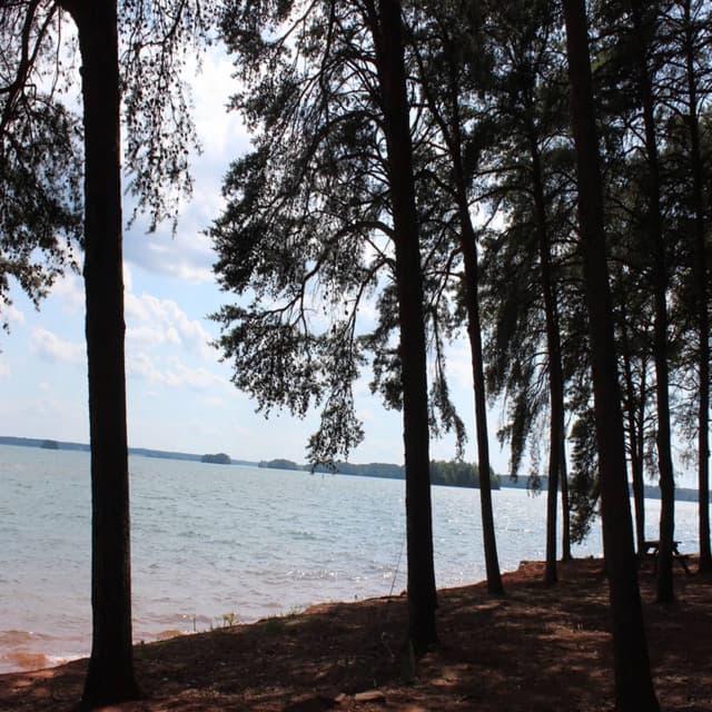 Bakgrundsljud för Studier, Meditation och Avslappning - Meditation och Avslappning