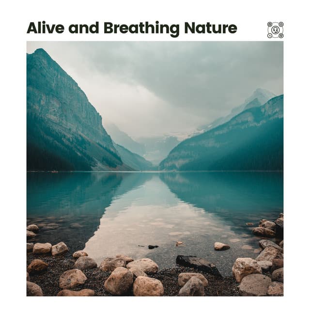 Alive and Breathing Nature - Sounds of the Forest