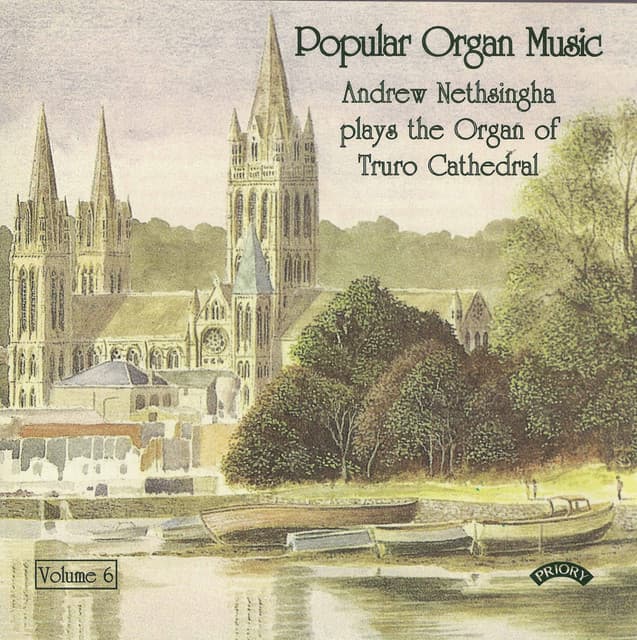 Popular Organ Music, Vol. 6 - Andrew Nethsingha