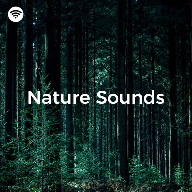 Nature Sound: Tranquil Escape - Organic Nature Sounds