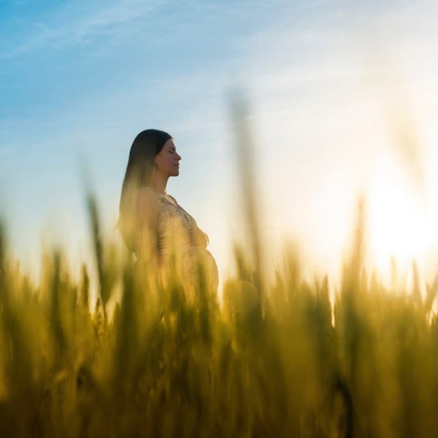 Everyday Is A Holiday - Heavenly Realms