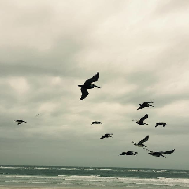 In a Moment: Music For Piano and Strings - Karl Berger