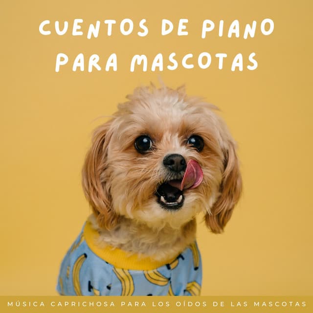 Cuentos De Piano Para Mascotas: Música Caprichosa Para Los Oídos De Las Mascotas - Relajante Piano Jazz