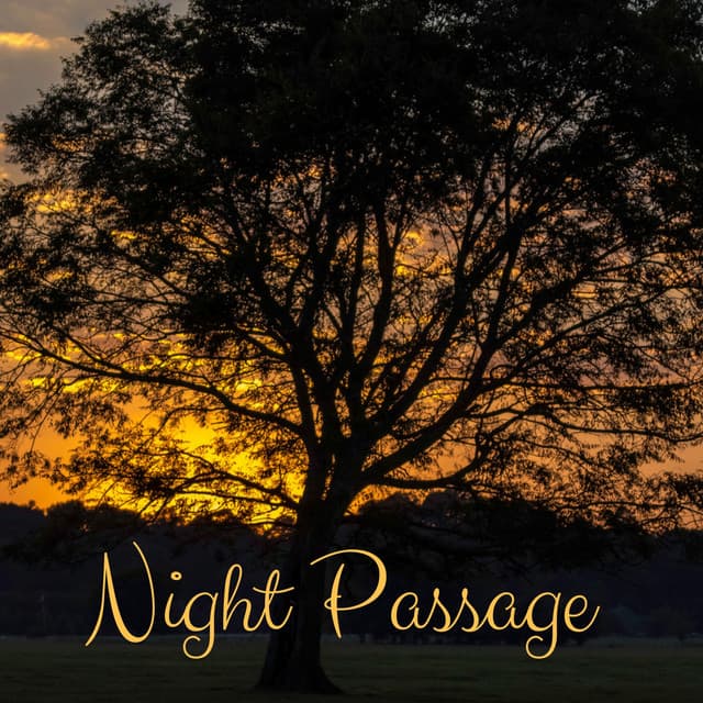Night Passage - Lush Rain Creators