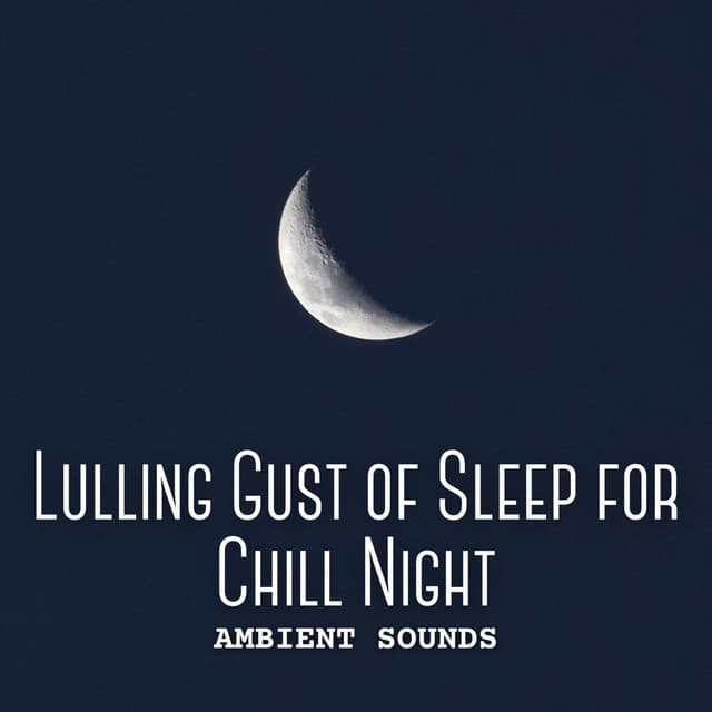 Ambient Sounds: Lulling Gust of Sleep for Chill Night - Weather Sounds