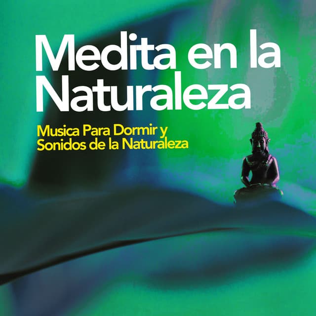 Medita en la Naturaleza - Musica Para Dormir y Sonidos de la Naturaleza