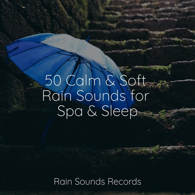 50 Calm & Soft Rain Sounds for Spa & Sleep - New Age