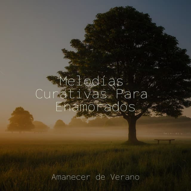 Melodías Curativas Para Enamorados - Musica Relajante & Yoga