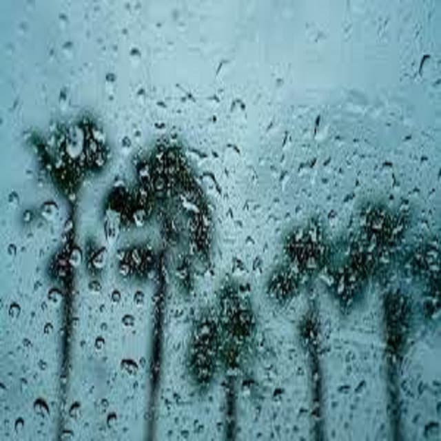 Rain Sounds, Vol 3 - Lightning, Thunder and Rain Storm