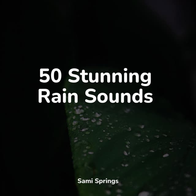 50 Stunning Rain Sounds - Ambient Arena