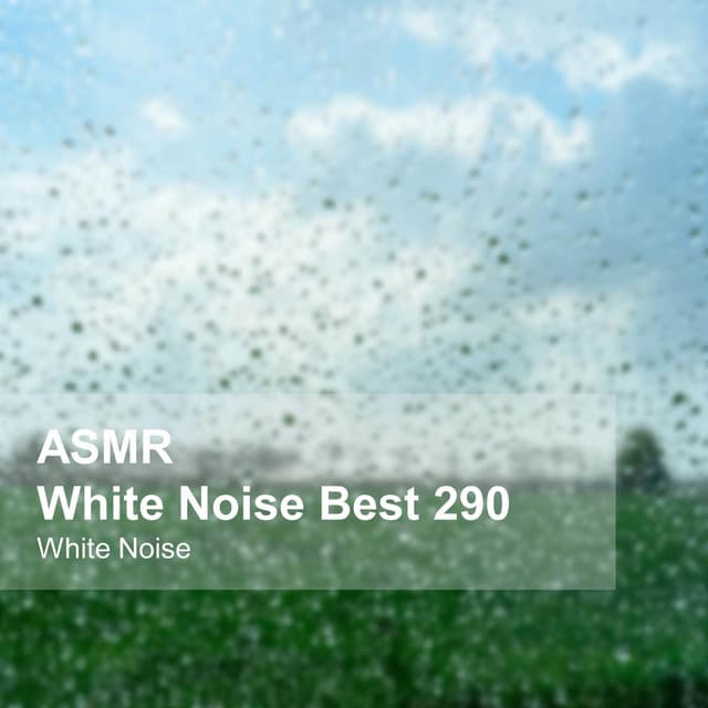 White Noise ASMR Best 290 - White Noise
