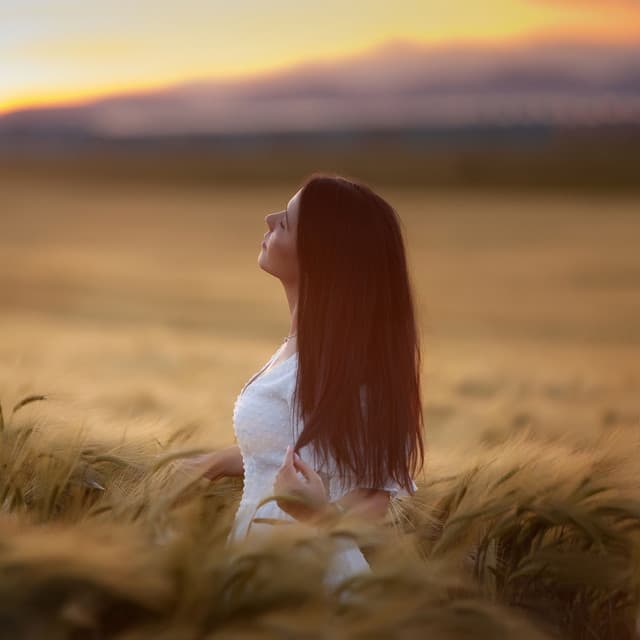 Dreamy Relaxation: Soothing Ambient Sound Serenade Lofi - Lofi Brasil