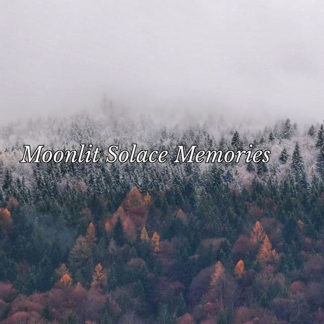 Moonlit Solace Memories - Eon Wilder