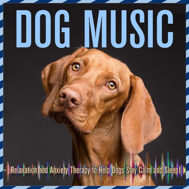 Dog Music: Relaxation and Anxiety Therapy to Help Dogs Stay Calm and Sleep - Puppy Sleep Dreams