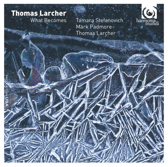 Thomas Larcher: What Becomes - Thomas Larcher